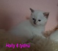 /album/holly-6-tydnu/dscn7167-jpg/